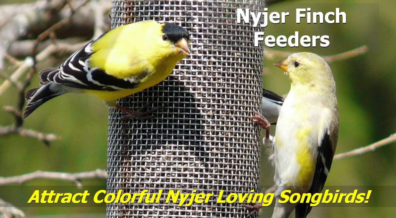 Nyjer Thistle Finch Feeders